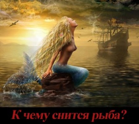 К чему снится рыба